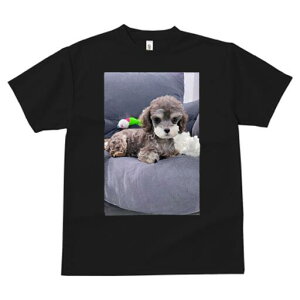 gCv[h TVc Y LbY t@  t  vg JWA 킢 lԗp h ̃fUC ʔ ʂ gCv[h NbV