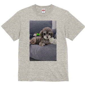 gCv[h TVc Y LbY t@  t  vg JWA 킢 lԗp h ̃fUC ʔ ʂ gCv[h NbV