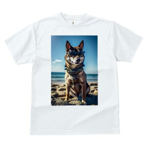 Č TVc fB[X t@  t  vg JWA 킢 lԗp h ̃fUC ʔ TOX Č r[`