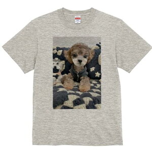 gCv[h TVc Y LbY t@  t  vg JWA 킢 lԗp h ̃fUC ʔ ʂ gCv[h 