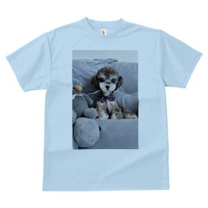 gCv[h TVc Y LbY t@  t  vg JWA 킢 lԗp h ̃fUC ʔ ʂ gCv[h NbV lN^C