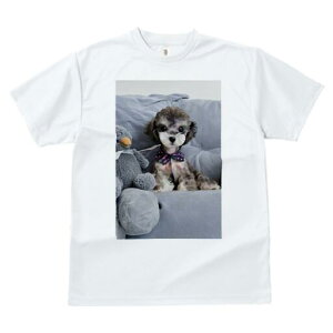 トイプードル Tシャツ レディース 犬ファン 半袖 春夏 犬柄 プリント カジュアル かわいい 人間用 個性派 ここだけのデザイン 面白 ぬいぐるみ トイプードル クッション 蝶ネクタイ