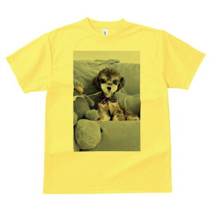 gCv[h TVc Y LbY t@  t  vg JWA 킢 lԗp h ̃fUC ʔ ʂ gCv[h NbV lN^C