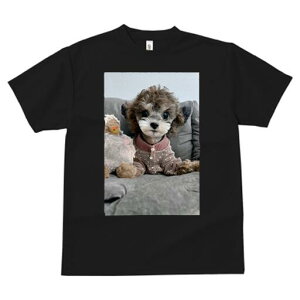 gCv[h TVc Y LbY t@  t  vg JWA 킢 lԗp h ̃fUC ʔ ʂ gCv[h 