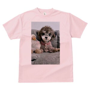 gCv[h TVc Y LbY t@  t  vg JWA 킢 lԗp h ̃fUC ʔ ʂ gCv[h 