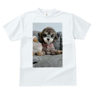 gCv[h TVc fB[X t@  t  vg JWA 킢 lԗp h ̃fUC ʔ ʂ gCv[h 