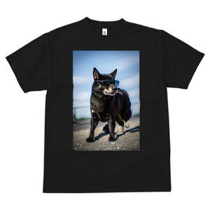 Č TVc fB[X t@  t  vg JWA 킢 lԗp h ̃fUC ʔ TOX Č