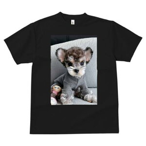 [NV[eA TVc fB[X t@  t  vg JWA 킢 lԗp h ̃fUC ʔ Z[^[ [NV[eA ʂ