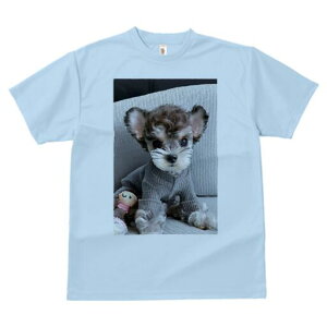 [NV[eA TVc Y LbY t@  t  vg JWA 킢 lԗp h ̃fUC ʔ Z[^[ [NV[eA ʂ