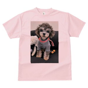 gCv[h TVc Y LbY t@  t  vg JWA 킢 lԗp h ̃fUC ʔ Z[^[ gCv[h ʂ