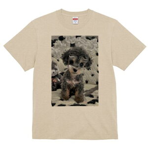 gCv[h TVc Y LbY t@  t  vg JWA 킢 lԗp h ̃fUC ʔ ʂ gCv[h L[g ӂӂ