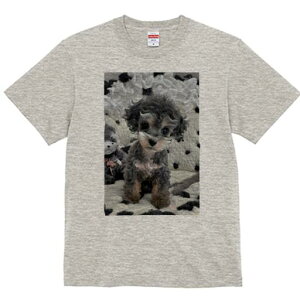 gCv[h TVc Y LbY t@  t  vg JWA 킢 lԗp h ̃fUC ʔ ʂ gCv[h L[g ӂӂ