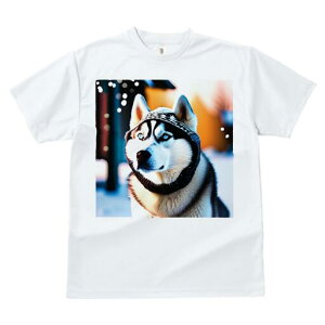 シベリアンハスキー Tシャツ レディース 犬ファン 半袖 春夏 犬柄 プリント カジュアル かわいい 人間用 個性派 ここだけのデザイン 面白 冬 シベリアンハスキー 雪 帽子