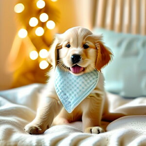 wi S[fgo[   z NbVJo[ 45×45cm Aj}   NbV{̕t ` t@