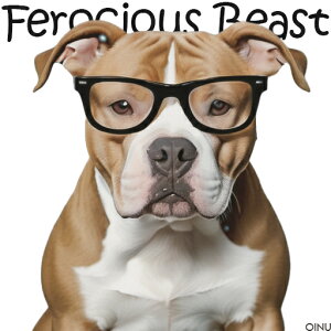 Kl AJsbgueA NbVJo[ 45×45cm Aj}   NbV{̕t ` t@