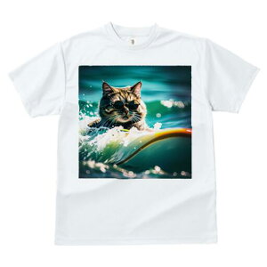 TVc fB[X t@  t  vg JWA 킢 lԗp h ̃fUC ʔ TOX T[tB C