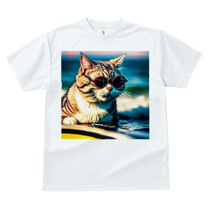 TVc fB[X t@  t  vg JWA 킢 lԗp h ̃fUC ʔ TOX C