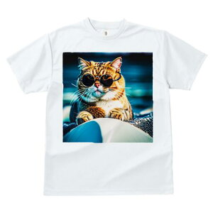 TVc fB[X t@  t  vg JWA 킢 lԗp h ̃fUC ʔ TOX