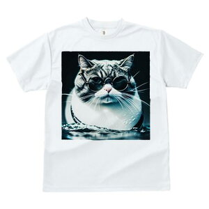 TVc fB[X t@  t  vg JWA 킢 lԗp h ̃fUC ʔ Kl L