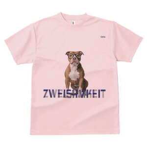 AJsbgueA TVc Y LbY t@  t  vg JWA 킢 lԗp h ̃fUC ʔ Kl AJsbgueA