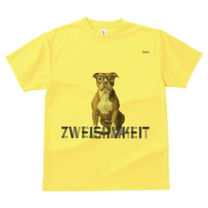 AJsbgueA TVc Y LbY t@  t  vg JWA 킢 lԗp h ̃fUC ʔ Kl AJsbgueA