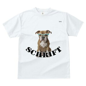 AJuhbO TVc fB[X t@  t  vg JWA 킢 lԗp h ̃fUC ʔ Kl AJuhbO