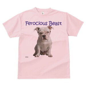 AJuhbO TVc Y LbY t@  t  vg JWA 킢 lԗp h ̃fUC ʔ Kl AJuhbO