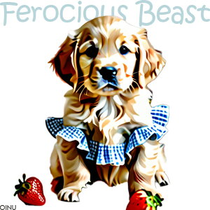 C`S S[fgo[ X^C NbVJo[ 45×45cm Aj}   NbV{̕t ` t@