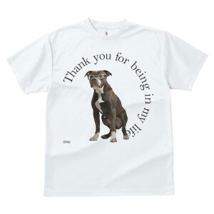 AJsbgueA TVc fB[X t@  t  vg JWA 킢 lԗp h ̃fUC ʔ Kl AJsbgueA