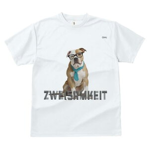 AJuhbO TVc fB[X t@  t  vg JWA 킢 lԗp h ̃fUC ʔ Kl AJuhbO lN^C