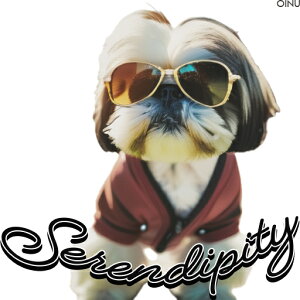 TOX V[Y[  NbVJo[ 45×45cm Aj}   NbV{̕t ` t@