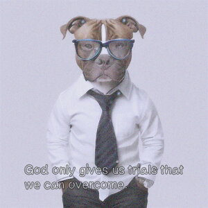 lN^C AJsbgueA Vc Kl NbVJo[ 45×45cm Aj}   NbV{̕t ` t@