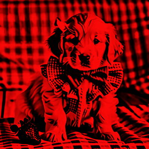 { S[fgo[ lN^C  NbVJo[ 45×45cm Aj}   NbV{̕t ` t@