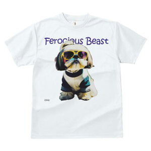 V[Y[ TVc fB[X t@  t  vg JWA 킢 lԗp h ̃fUC ʔ TOX V[Y[ 