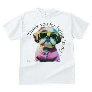 V[Y[ TVc fB[X t@  t  vg JWA 킢 lԗp h ̃fUC ʔ TOX V[Y[ WPbg