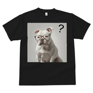 AJuhbO TVc fB[X t@  t  vg JWA 킢 lԗp h ̃fUC ʔ Kl AJuhbO ^╄