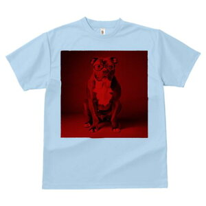 AJsbgueA TVc Y LbY t@  t  vg JWA 킢 lԗp h ̃fUC ʔ Kl AJsbgueA