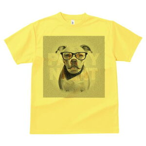 AJuhbO TVc Y LbY t@  t  vg JWA 킢 lԗp h ̃fUC ʔ Kl AJuhbO o_i