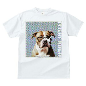 AJuhbO TVc fB[X t@  t  vg JWA 킢 lԗp h ̃fUC ʔ Kl AJuhbO