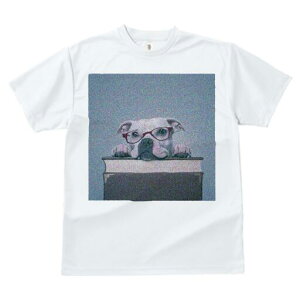 AJsbgueA TVc fB[X t@  t  vg JWA 킢 lԗp h ̃fUC ʔ Kl AJsbgueA {