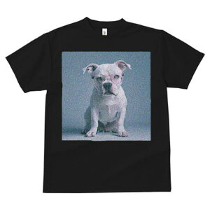 AJuhbO TVc fB[X t@  t  vg JWA 킢 lԗp h ̃fUC ʔ Kl AJuhbO