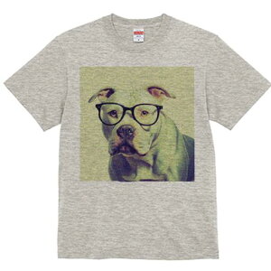 AJsbgueA TVc Y LbY t@  t  vg JWA 킢 lԗp h ̃fUC ʔ Kl AJsbgueA