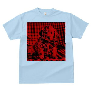 S[fgo[ TVc Y LbY t@  t  vg JWA 킢 lԗp h ̃fUC ʔ { S[fgo[ lN^C 