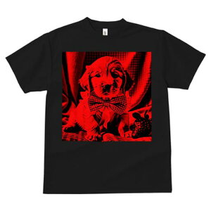 S[fgo[ TVc Y LbY t@  t  vg JWA 킢 lԗp h ̃fUC ʔ lN^C S[fgo[ 