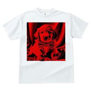 S[fgo[ TVc fB[X t@  t  vg JWA 킢 lԗp h ̃fUC ʔ lN^C S[fgo[ 