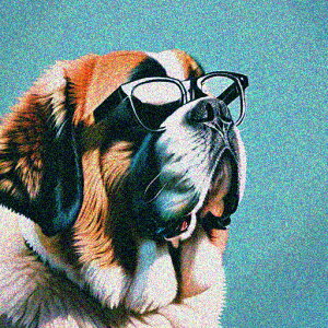 Kl Zgo[i[h NbVJo[ 45×45cm Aj}   NbV{̕t ` t@