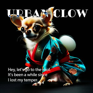  ` a 킢 ʔ NbVJo[ 45×45cm Aj}   NbV{̕t ` t@