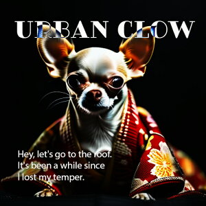  ` a { NbVJo[ 45×45cm Aj}   NbV{̕t ` t@