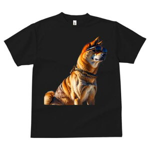 Č TVc fB[X t@  t  vg JWA 킢 lԗp h ̃fUC ʔ TOX Č 