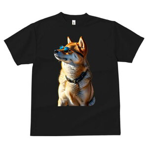 Č TVc fB[X t@  t  vg JWA 킢 lԗp h ̃fUC ʔ TOX Č